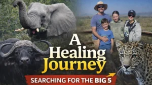 A Bush Trip That Became a Healing Journey